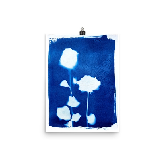 Blue Brush Gallery Other - Original Rose Cyanotype Botanical Blue Print on Watercolor Paper